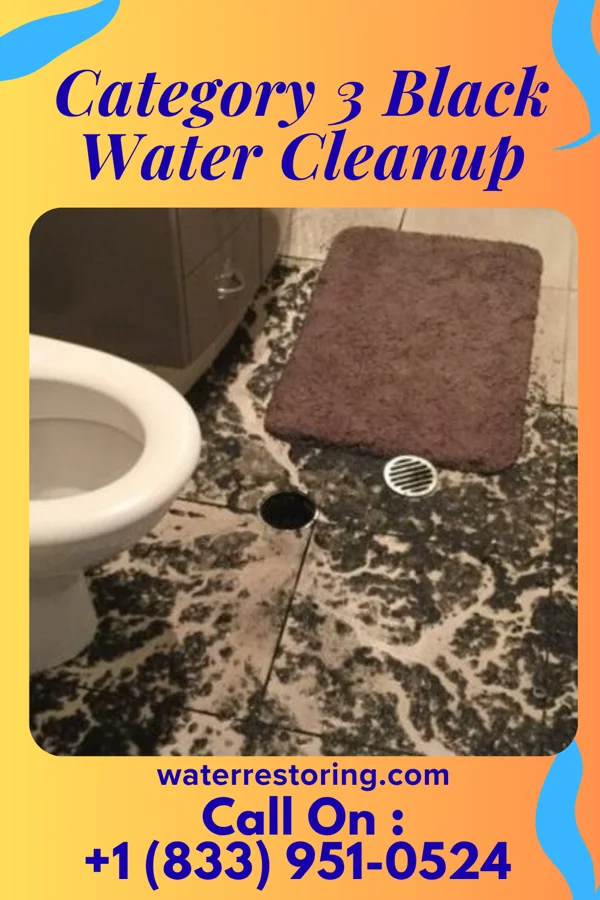 Category 3 Black Water Cleanup in Leslie, GA